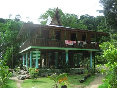 nora_rainforest_bukit_lawang
