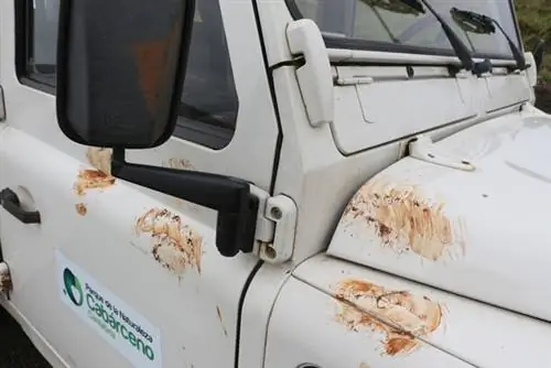 Медвежьи следы на Ленд Ровере