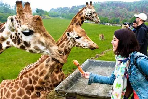 Дикое посещение природного парка Кабарсено