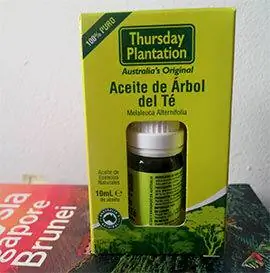 чайное дерево