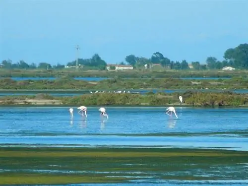 Mon Natura дельты Эбро