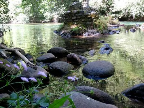 водяной дом