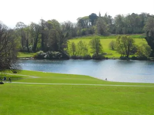 Красивый лесопарк Каслвеллана