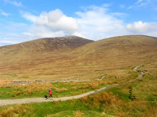 Уединение и природа в графстве Даун