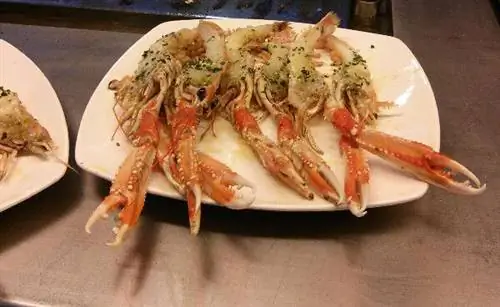 Дегустация ирландской кухни в Барселоне