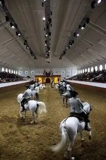 Королевская школа Херес