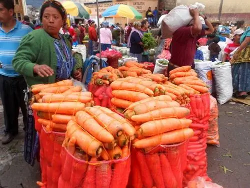 Мать всей моркови…