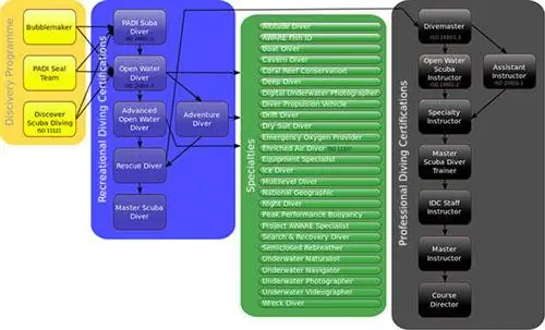 Официальные курсы PADI