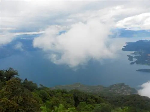 Виды сверху