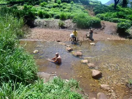 Реки были нашим спасением в такую жару.