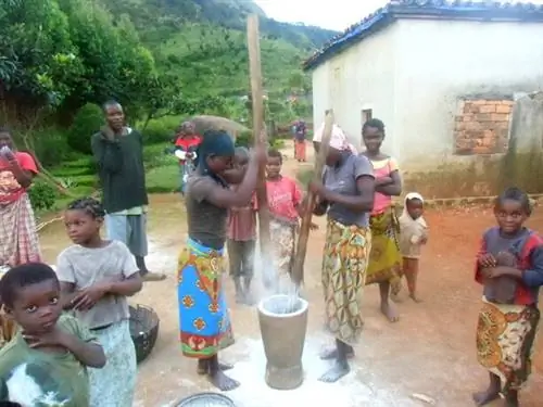 Путешествие на север Мозамбика. Мой лучший опыт путешествия