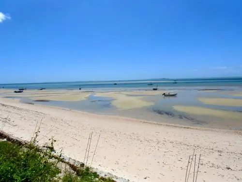 Виды с перил Баобаба, прямо на пляже.