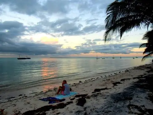 Какой из них красивее…