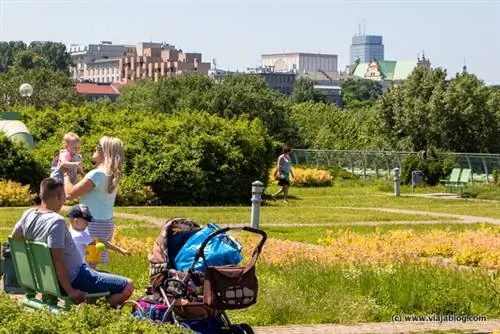 Наслаждаемся садом на крыше библиотеки Варшавского университета.