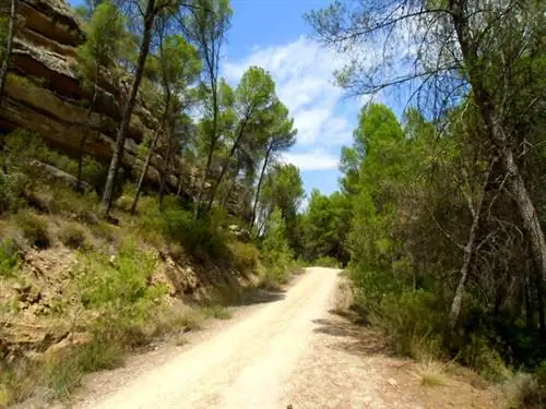 Тип маршрута, который вы найдете в долине…