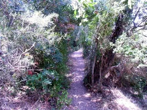 …С каким-то более узким проходом.