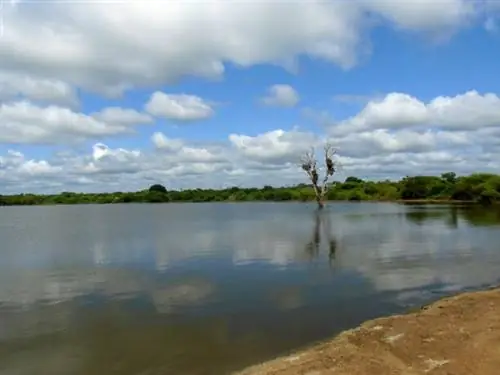 Захватывающие пейзажи Крюгера