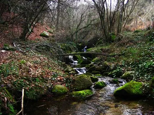 Риера де Риельс