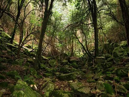 Маршрут через Монсень: Эскей-де-Мору из Риеллса