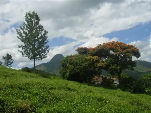 Окрестности Гуруэ