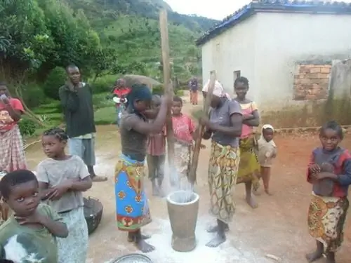 Наши хозяева готовят ужин