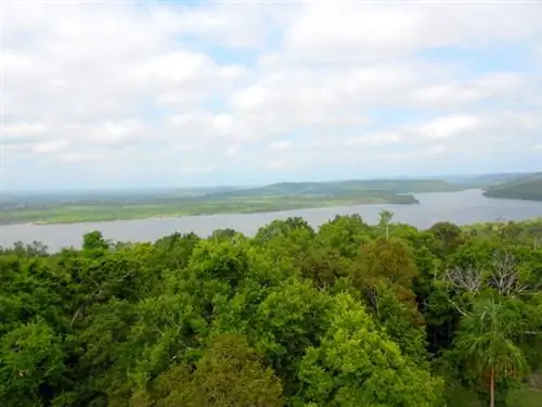 Просмотры от 216