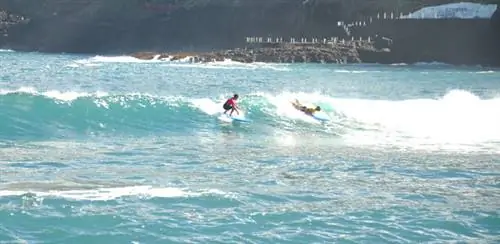 surf_tenerife