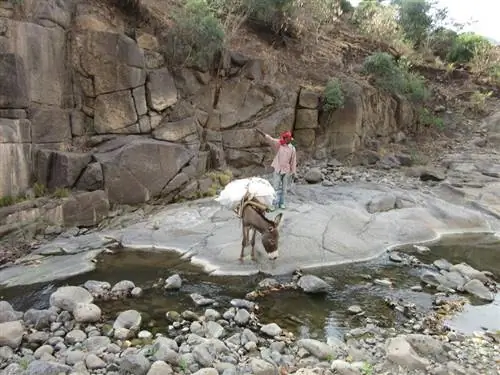 Иаргью, наш погонщик мулов, и Морла, осел.