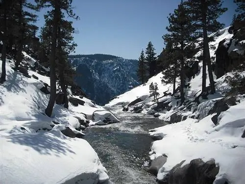 Форест-Тахо