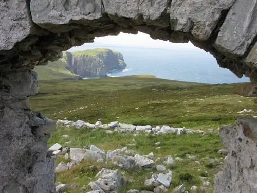 скалистый рог