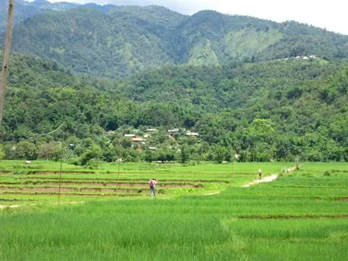 Путешествовать в Мьянму свободно?