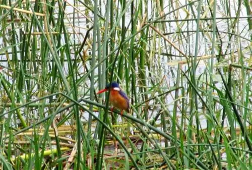 и маленькие