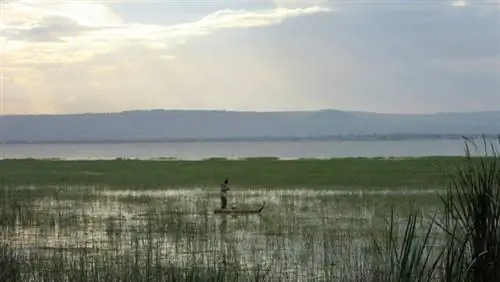 Озеро и город Авасса в Эфиопии