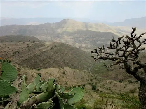 Симиен-Монтанас