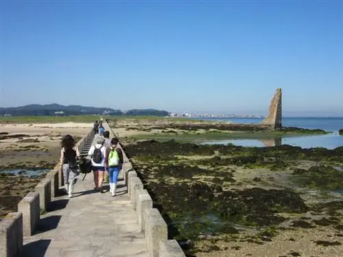 Гиматур-Галиция