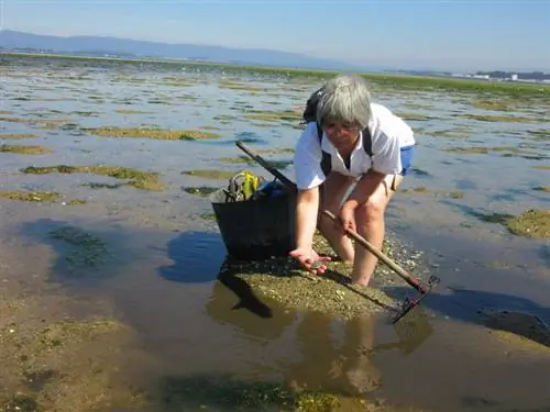 морепродукты-Галисия