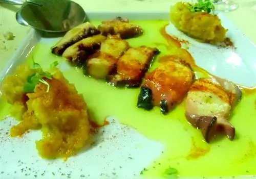 Изысканный осьминог Бегонья