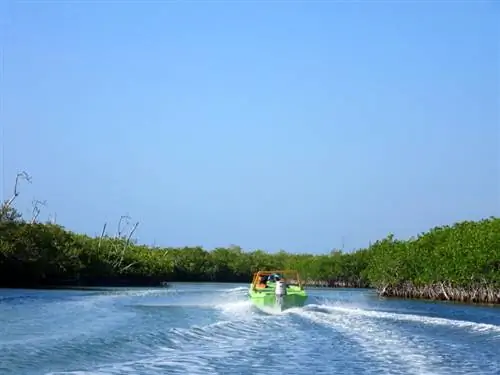 mexico_cancun_boats