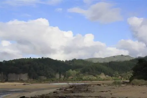 abel_tasman_new_zealand