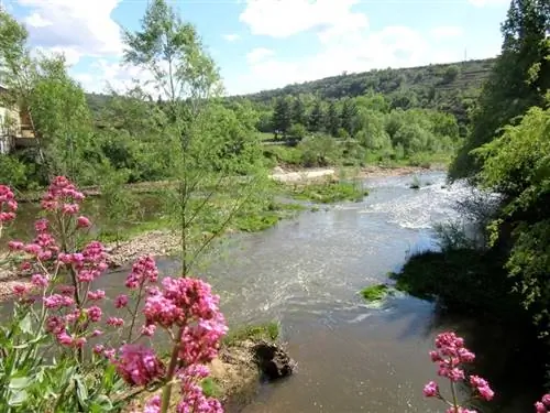Виды с моста через реку Арланза