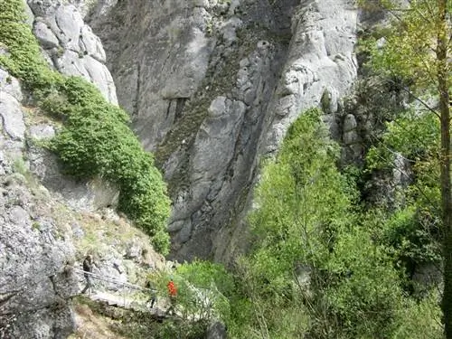 Ла Йекла Бургос