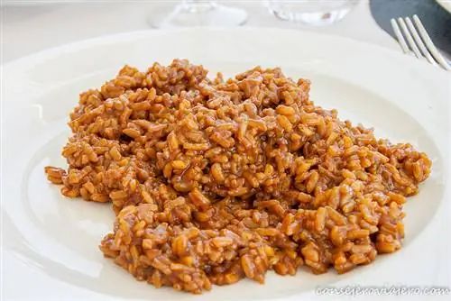 Знакомство с гастрономией Мар Менор