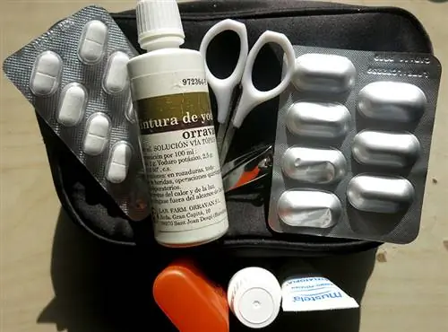 дорожная аптечка