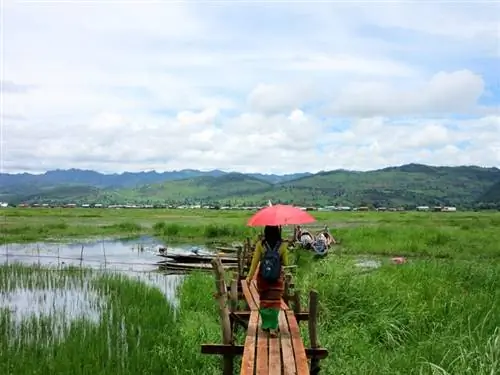 Мьянма: что посмотреть на озере Инле