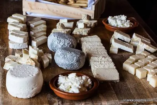 Сыр Гранха Кантагруллас в Вальядолиде