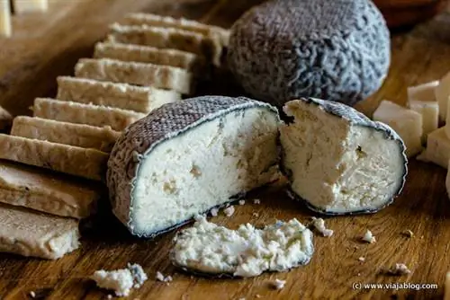 Фермерские сыры Кантагруллас в Вальядолиде