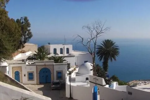 Абу-бу-Саид Тунис