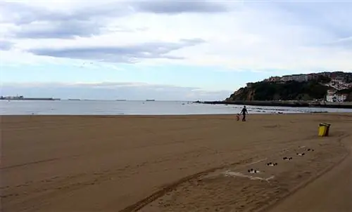 Посещение и прогулка по пинчос в Гечо