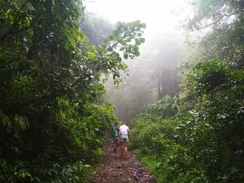 Восхождение на гору Попа в Мьянме (настоящая)