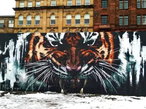 Фрески Глазго